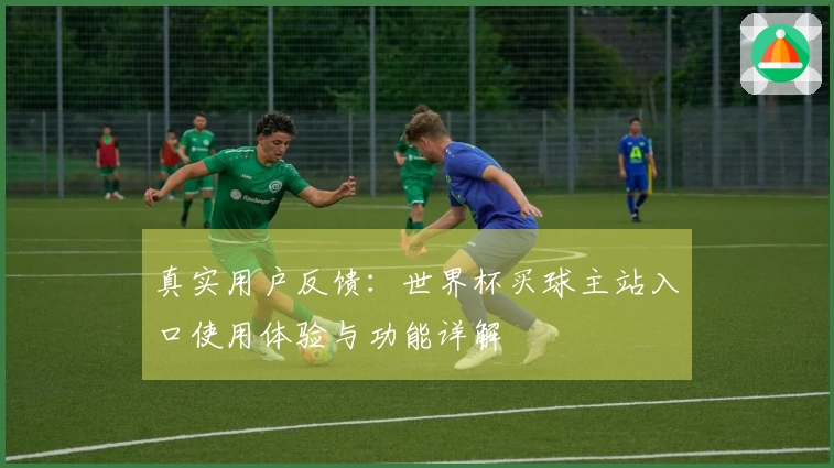 真实用户反馈：世界杯买球主站入口使用体验与功能详解