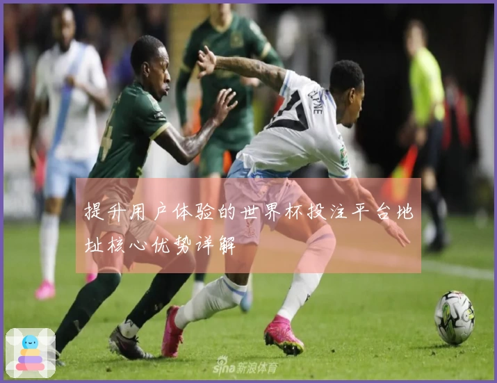 提升用户体验的世界杯投注平台地址核心优势详解