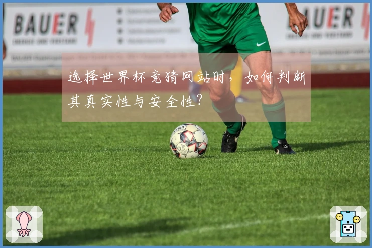 选择世界杯竞猜网站时,如何判断其真实性与安全性?
