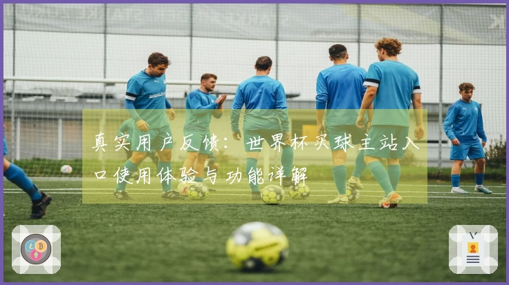 真实用户反馈:世界杯买球主站入口使用体验与功能详解