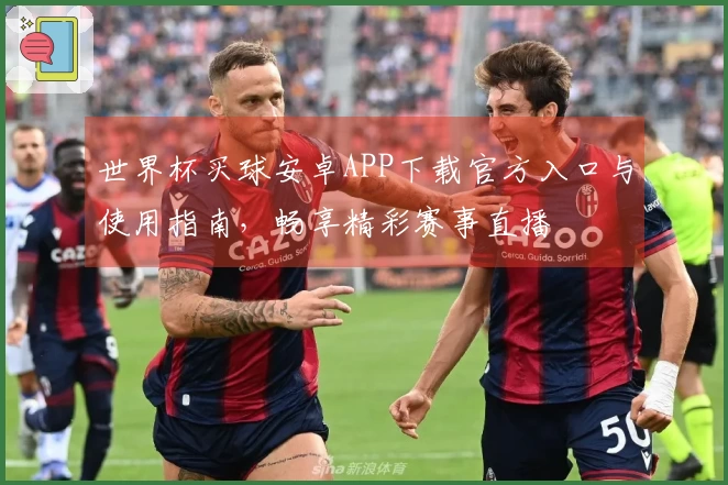 世界杯买球安卓APP下载官方入口与使用指南，畅享精彩赛事直播