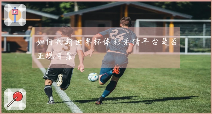 如何判断世界杯体彩竞猜平台是否正规可靠