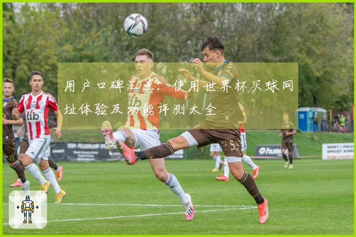 用户口碑汇总：使用世界杯买球网址体验及功能评测大全
