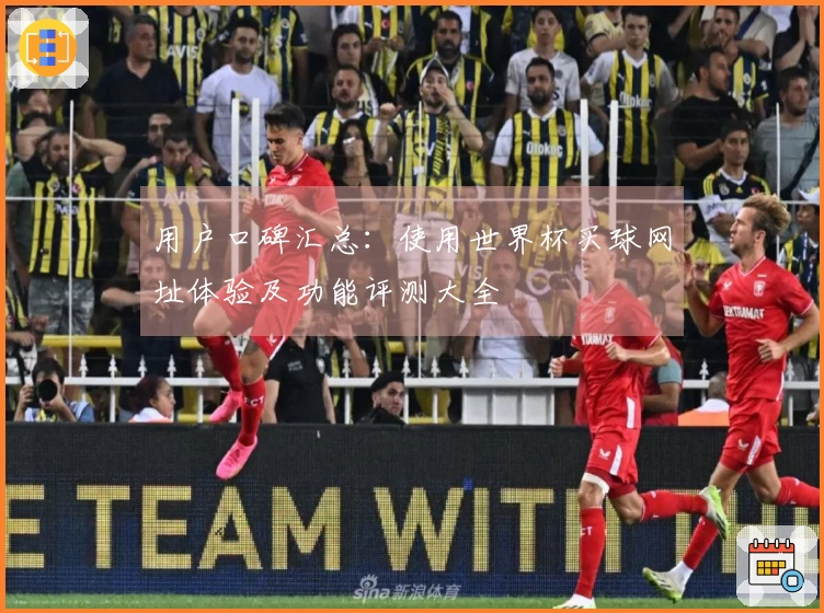 用户口碑汇总：使用世界杯买球网址体验及功能评测大全
