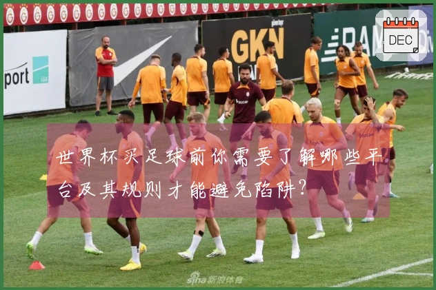 世界杯买足球前你需要了解哪些平台及其规则才能避免陷阱？