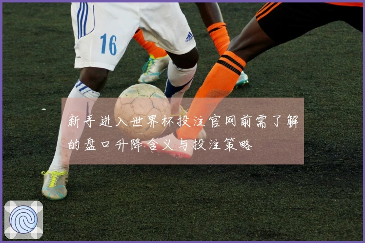 新手进入世界杯投注官网前需了解的盘口升降含义与投注策略