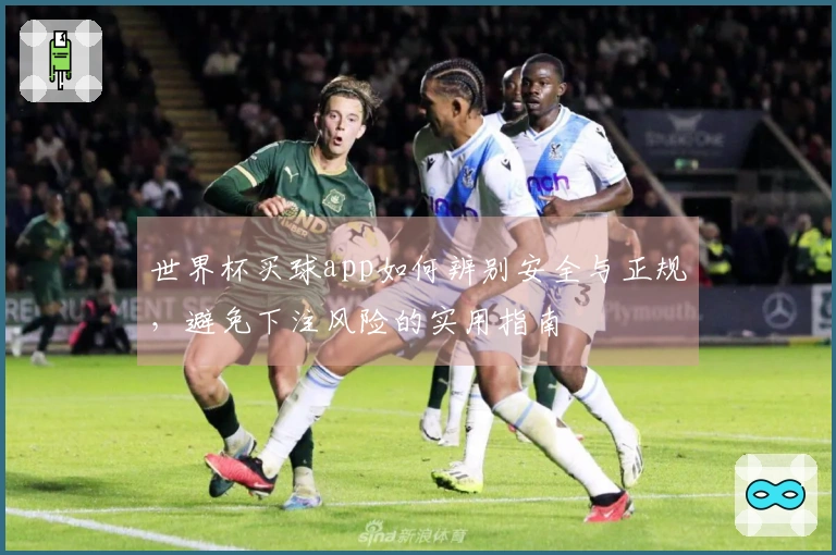 世界杯买球app如何辨别安全与正规，避免下注风险的实用指南
