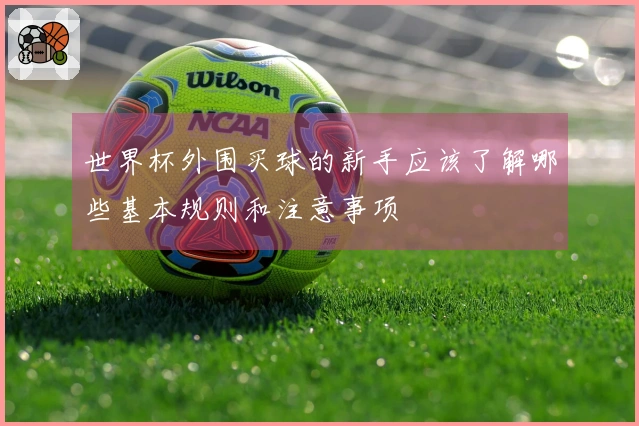 世界杯外围买球的新手应该了解哪些基本规则和注意事项