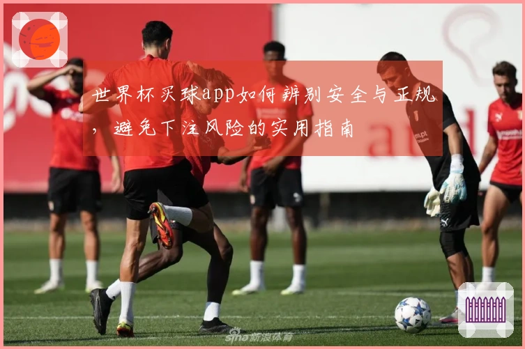 世界杯买球app如何辨别安全与正规，避免下注风险的实用指南