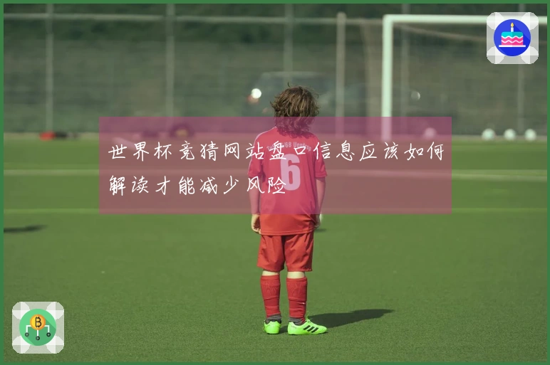 世界杯竞猜网站盘口信息应该如何解读才能减少风险