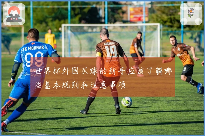 世界杯外围买球的新手应该了解哪些基本规则和注意事项