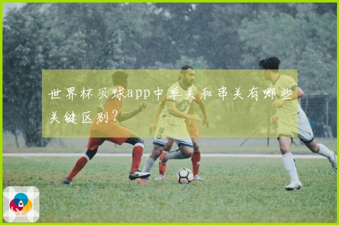 世界杯买球app中单关和串关有哪些关键区别？