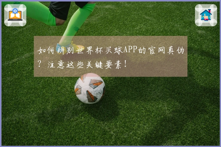 如何辨别世界杯买球APP的官网真伪？注意这些关键要素！