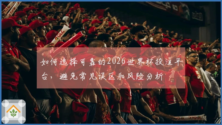 如何选择可靠的2026世界杯投注平台，避免常见误区和风险分析