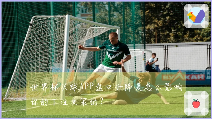 世界杯买球APP盘口升降是怎么影响你的下注决策的？