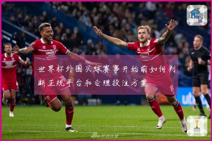 世界杯外围买球赛事开始前如何判断正规平台和合理投注方案