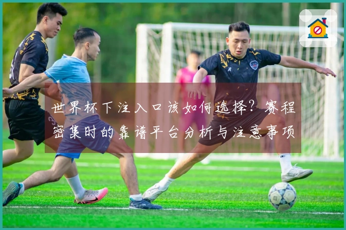 世界杯下注入口该如何选择？赛程密集时的靠谱平台分析与注意事项