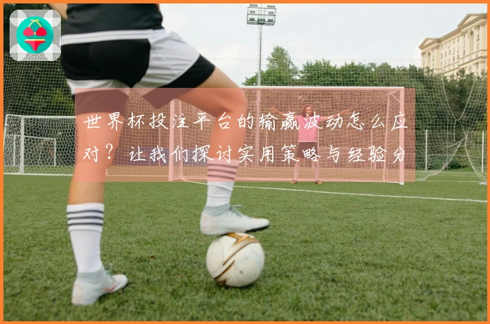 世界杯投注平台的输赢波动怎么应对？让我们探讨实用策略与经验分享