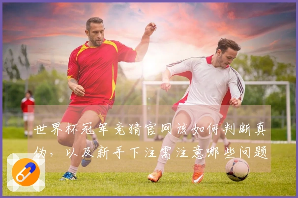 世界杯冠军竞猜官网该如何判断真伪，以及新手下注需注意哪些问题？