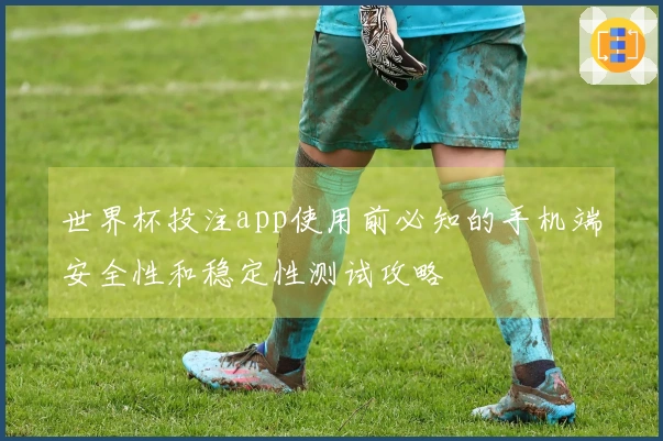 世界杯投注app使用前必知的手机端安全性和稳定性测试攻略