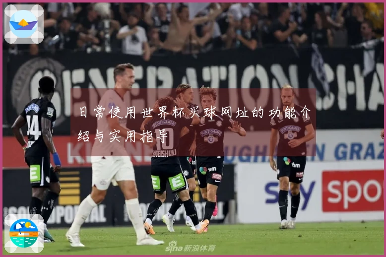 日常使用世界杯买球网址的功能介绍与实用指导