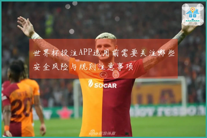 世界杯投注APP选用前需要关注哪些安全风险与规则注意事项