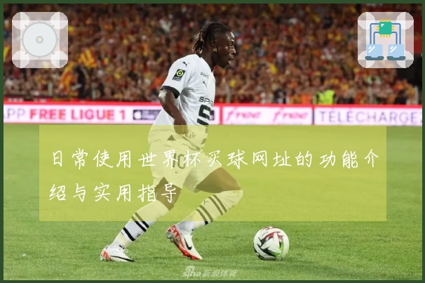 日常使用世界杯买球网址的功能介绍与实用指导