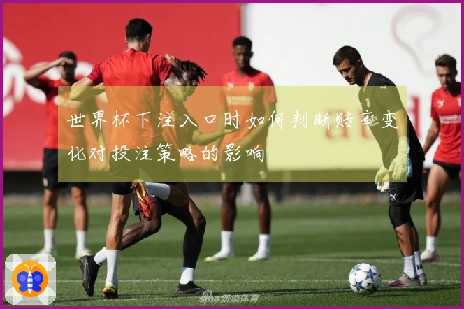 世界杯下注入口时如何判断赔率变化对投注策略的影响