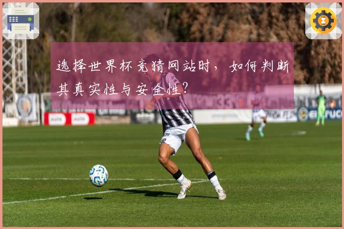 选择世界杯竞猜网站时，如何判断其真实性与安全性？