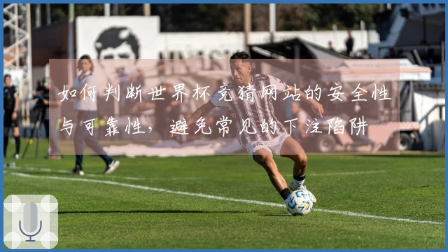 如何判断世界杯竞猜网站的安全性与可靠性,避免常见的下注陷阱