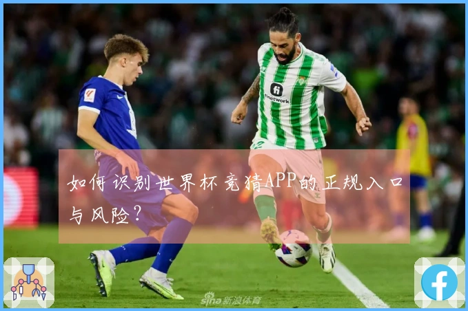如何识别世界杯竞猜APP的正规入口与风险？