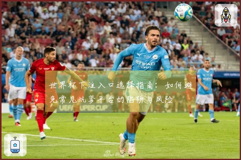 世界杯下注入口选择指南：如何避免常见坑爹平台的陷阱与风险