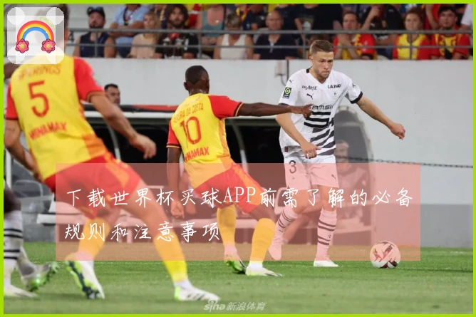 下载世界杯买球APP前需了解的必备规则和注意事项