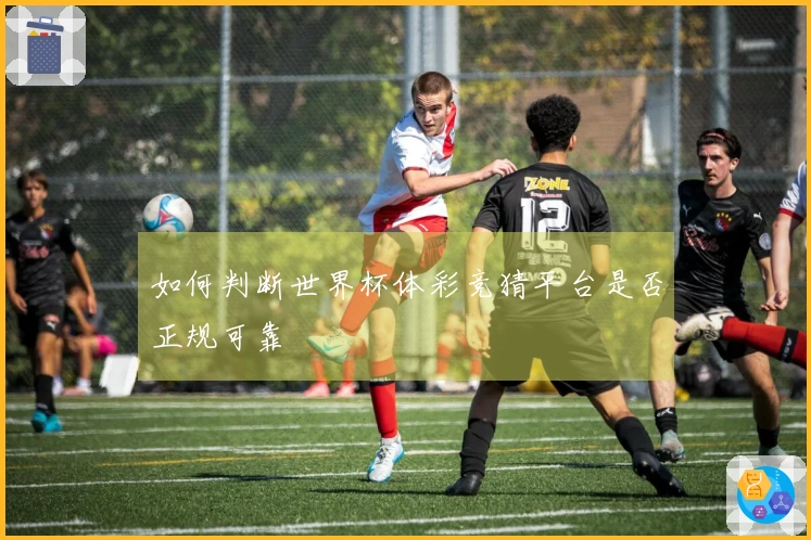 如何判断世界杯体彩竞猜平台是否正规可靠
