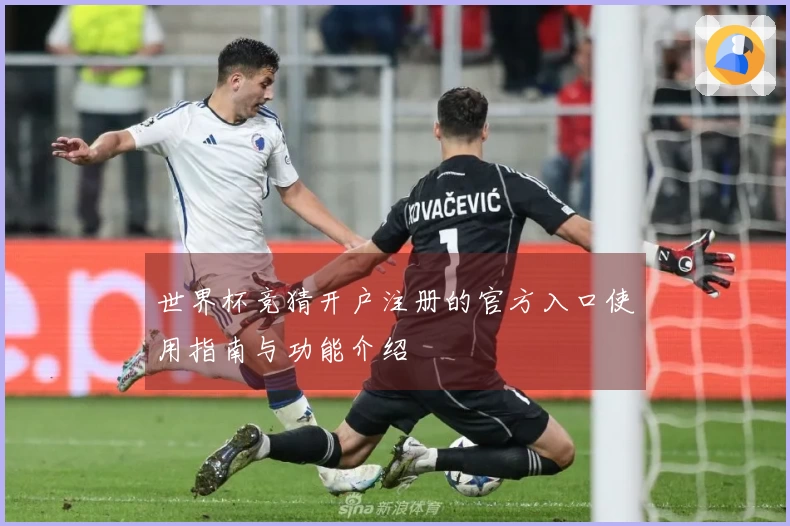 世界杯竞猜开户注册的官方入口使用指南与功能介绍